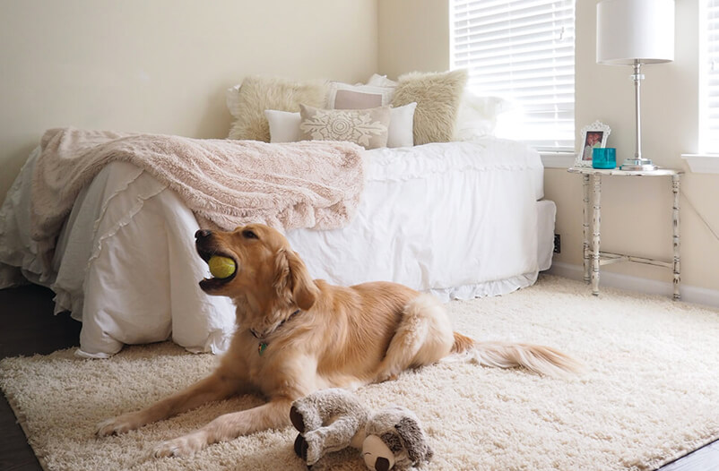 Comfort